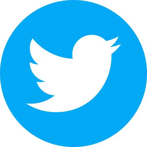 Twitter social share icon